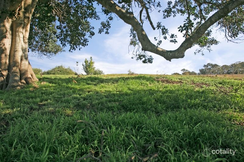 101-119 Mount Harris Dr, Maitland Vale, NSW 2320