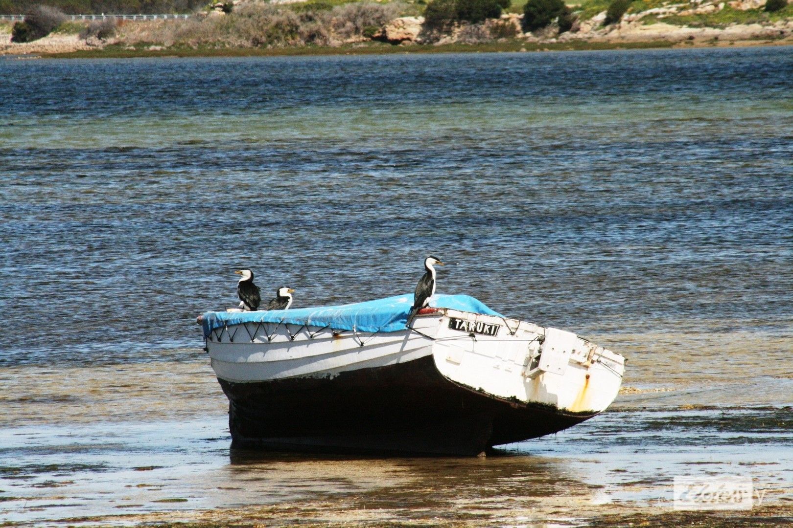 78 Hickeys Dr, Coobowie, SA 5583