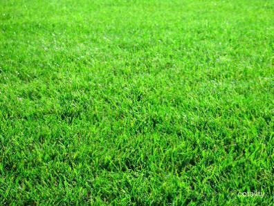 5 Killara Ct, Sandhurst, VIC 3977