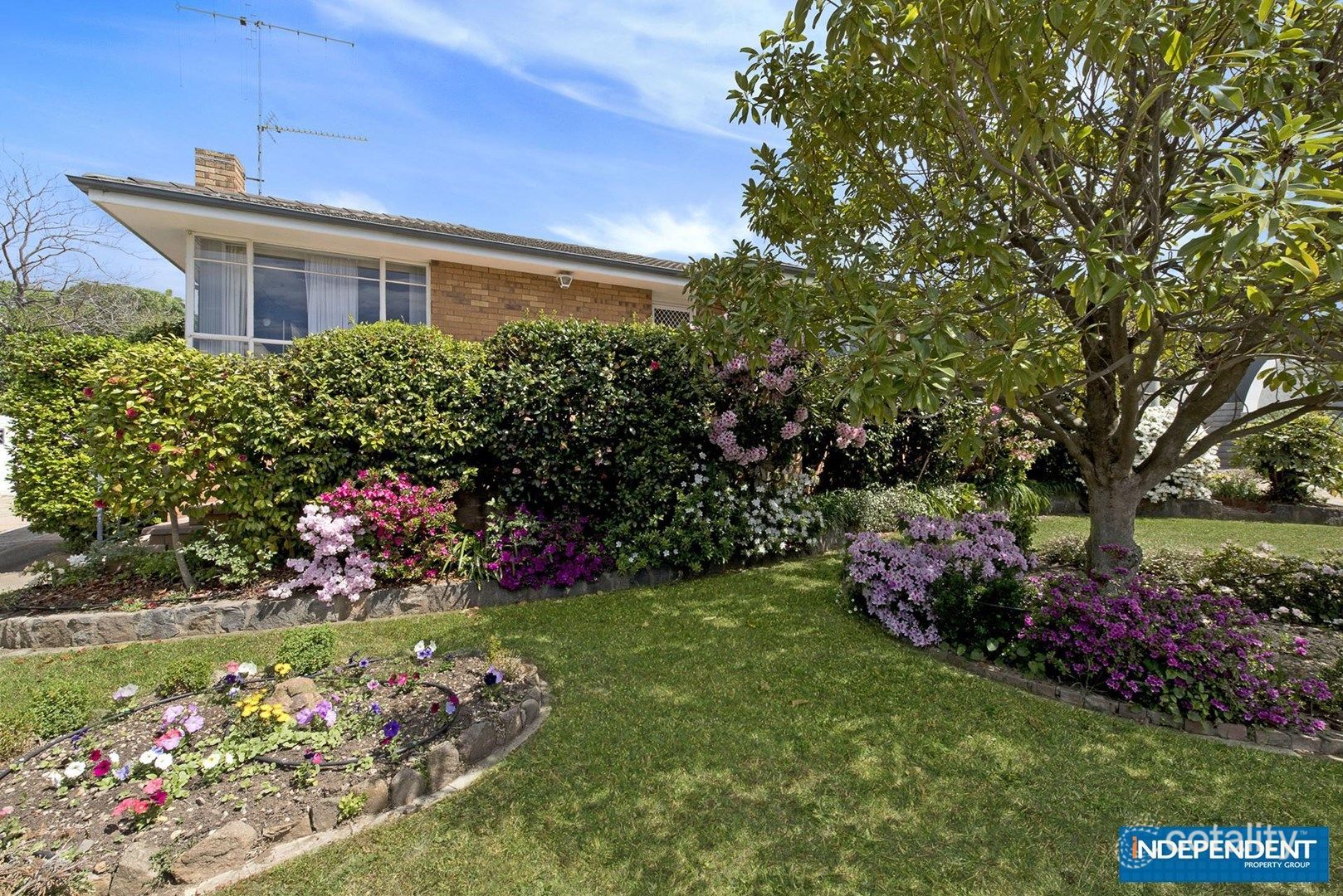 5 Beedham Pl, Lyons, ACT 2606