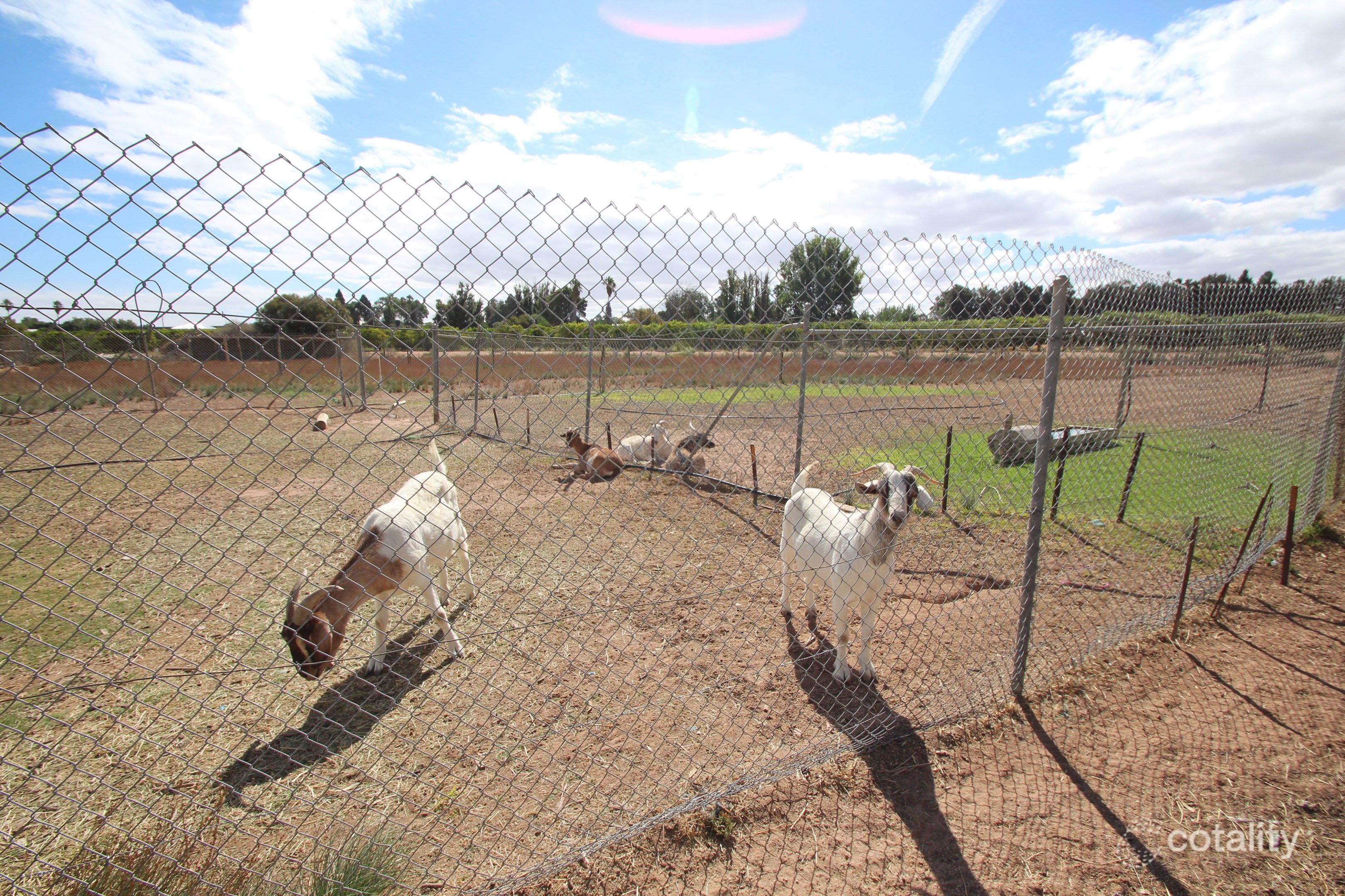 94 Kulkyne St, Renmark West, SA 5341