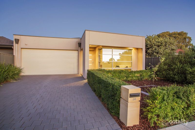 36 James St, Plympton, SA 5038