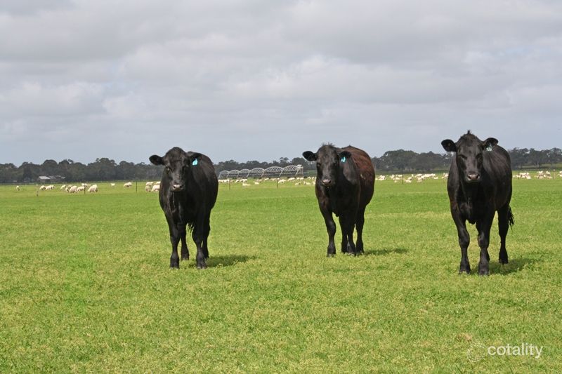 290 Cockys Lane, Conmurra, SA 5272