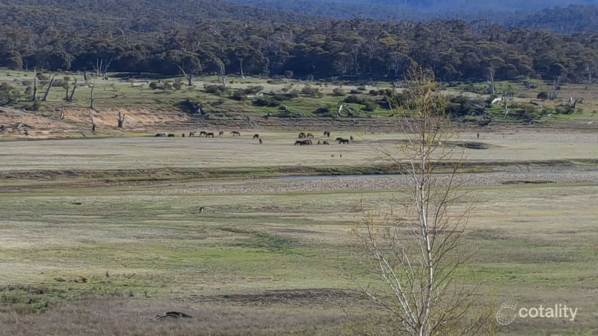 68 Providence Rd, Providence Portal, NSW 2629