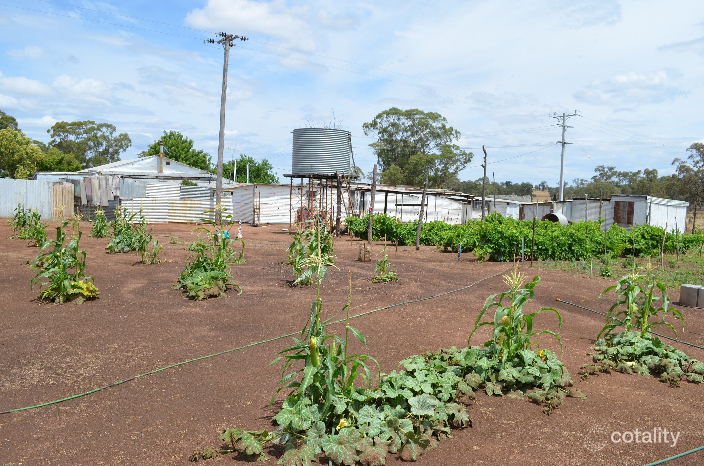 53 Denman St, Merrygoen, NSW 2831