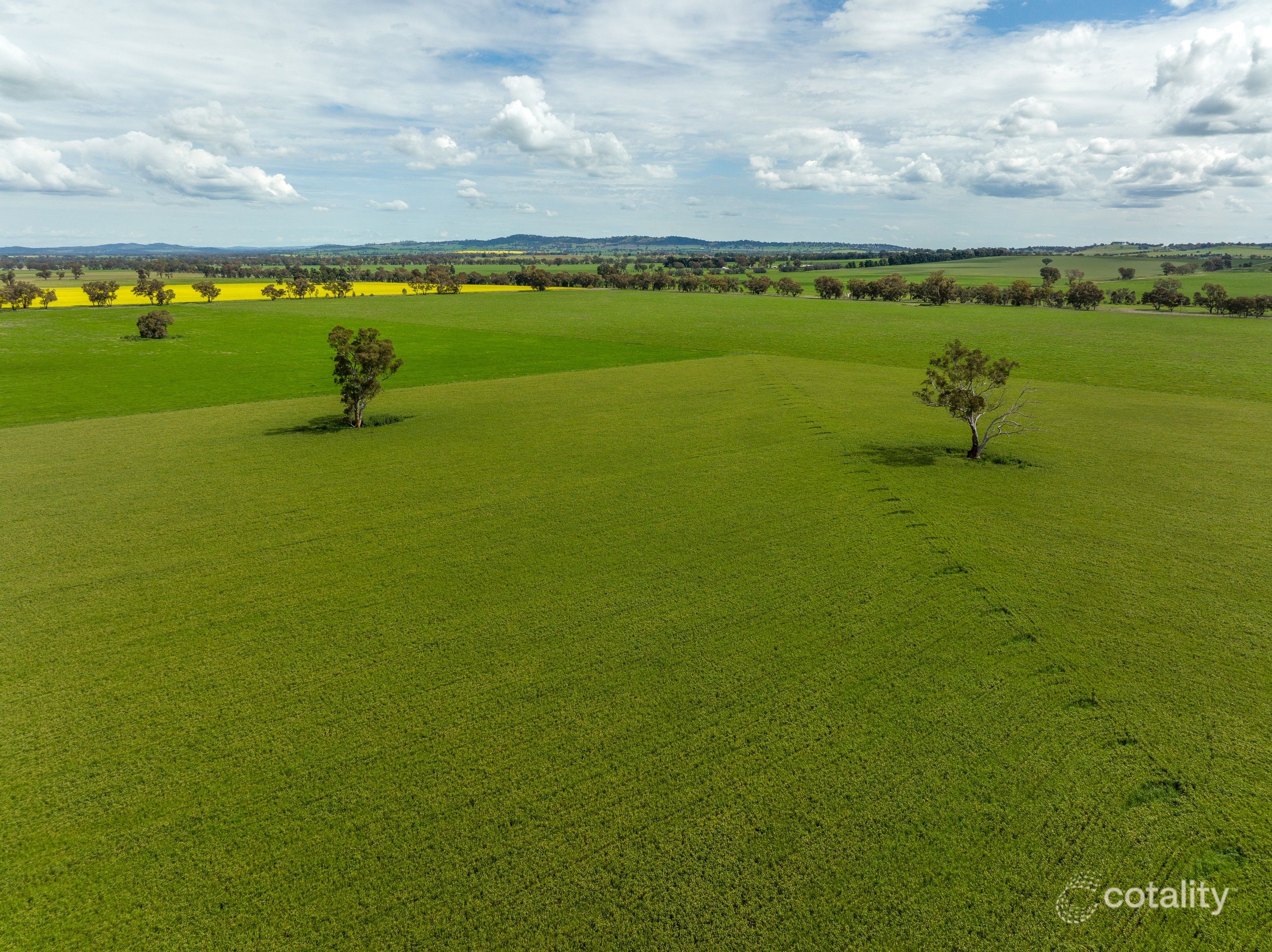 417 Donohoes Lane, Downside, NSW 2650