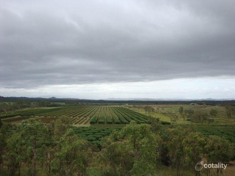 103 Fassio Rd, Paddys Green, QLD 4880