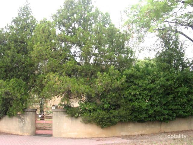 16 Jarvis St, Erindale, SA 5066