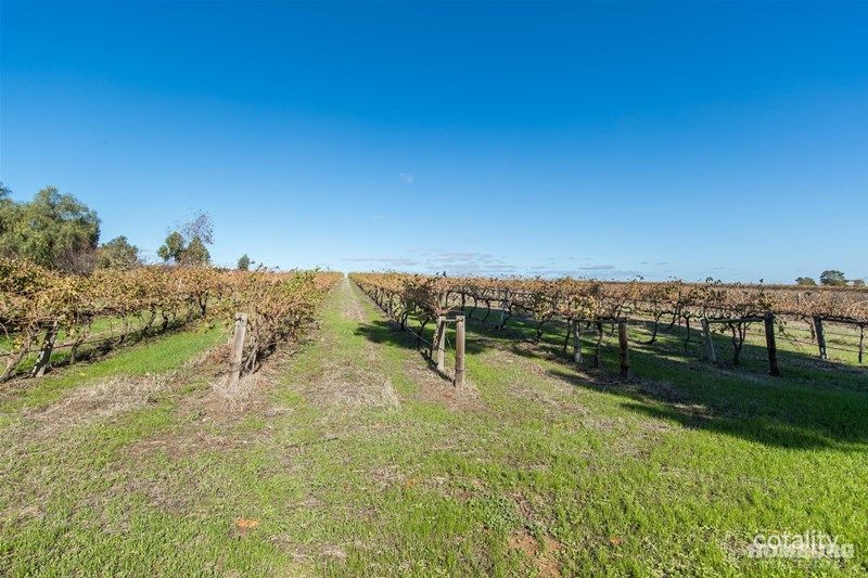 Lot 595/218 Bethany Rd, Bethany, SA 5352