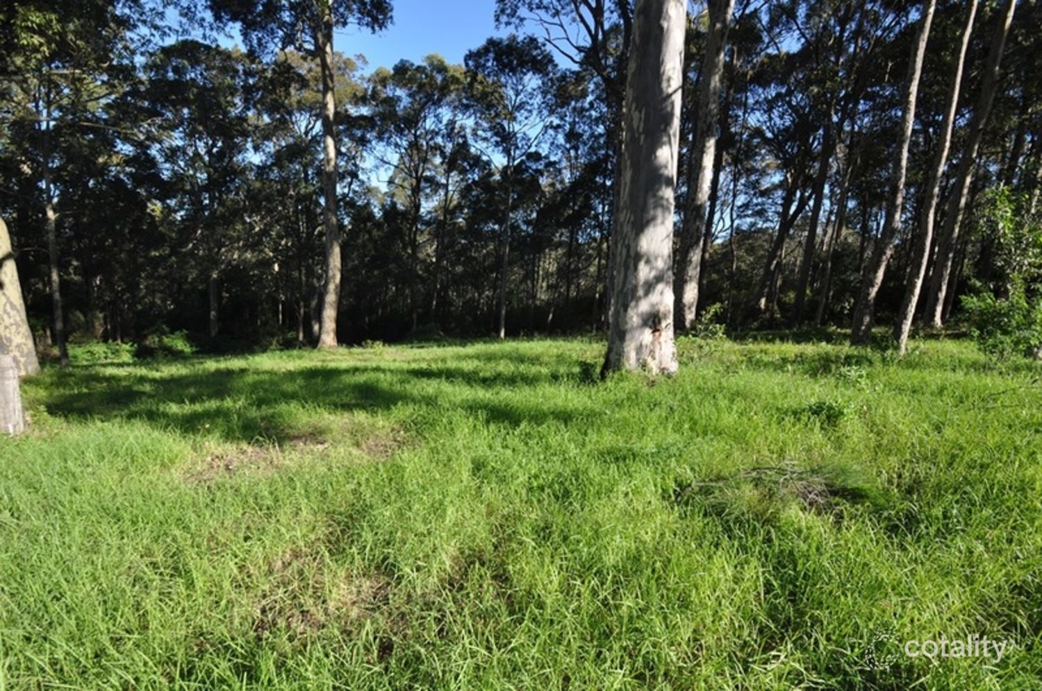 2 Willis Bvd, Narooma, NSW 2546