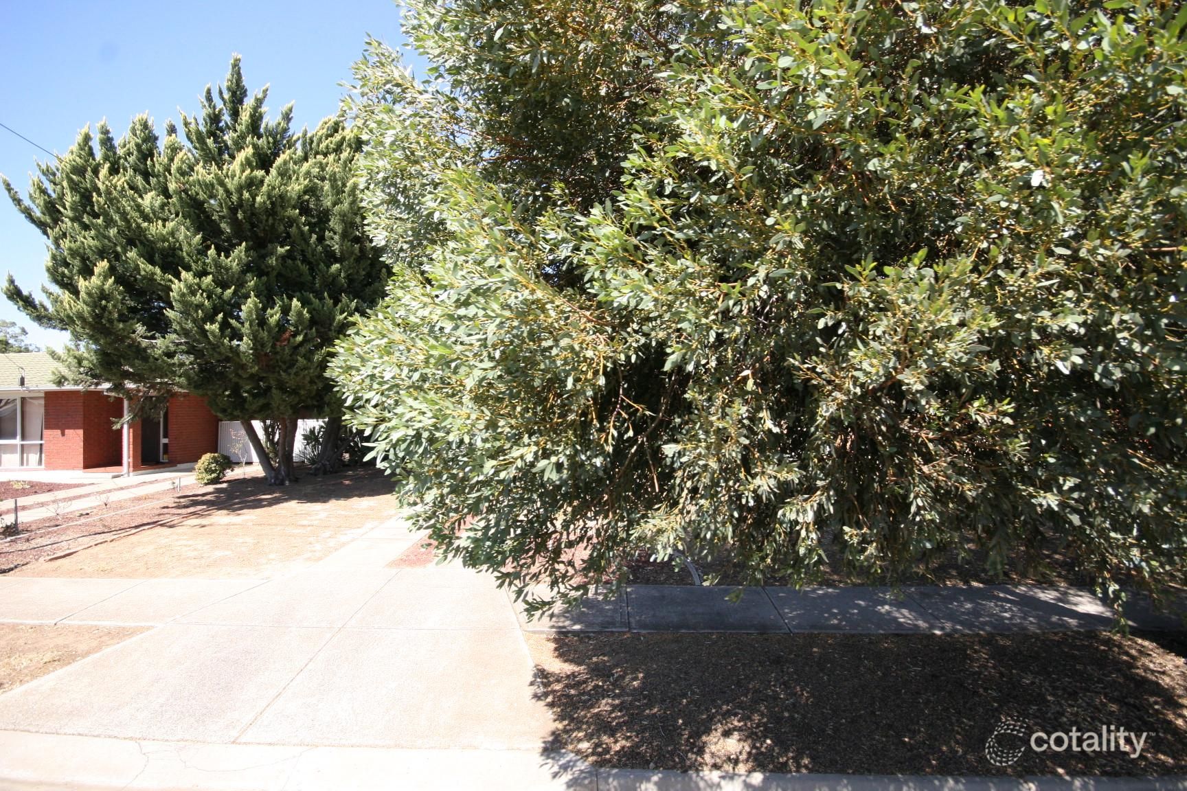 15 Ash Ave, Tonsley, SA 5042