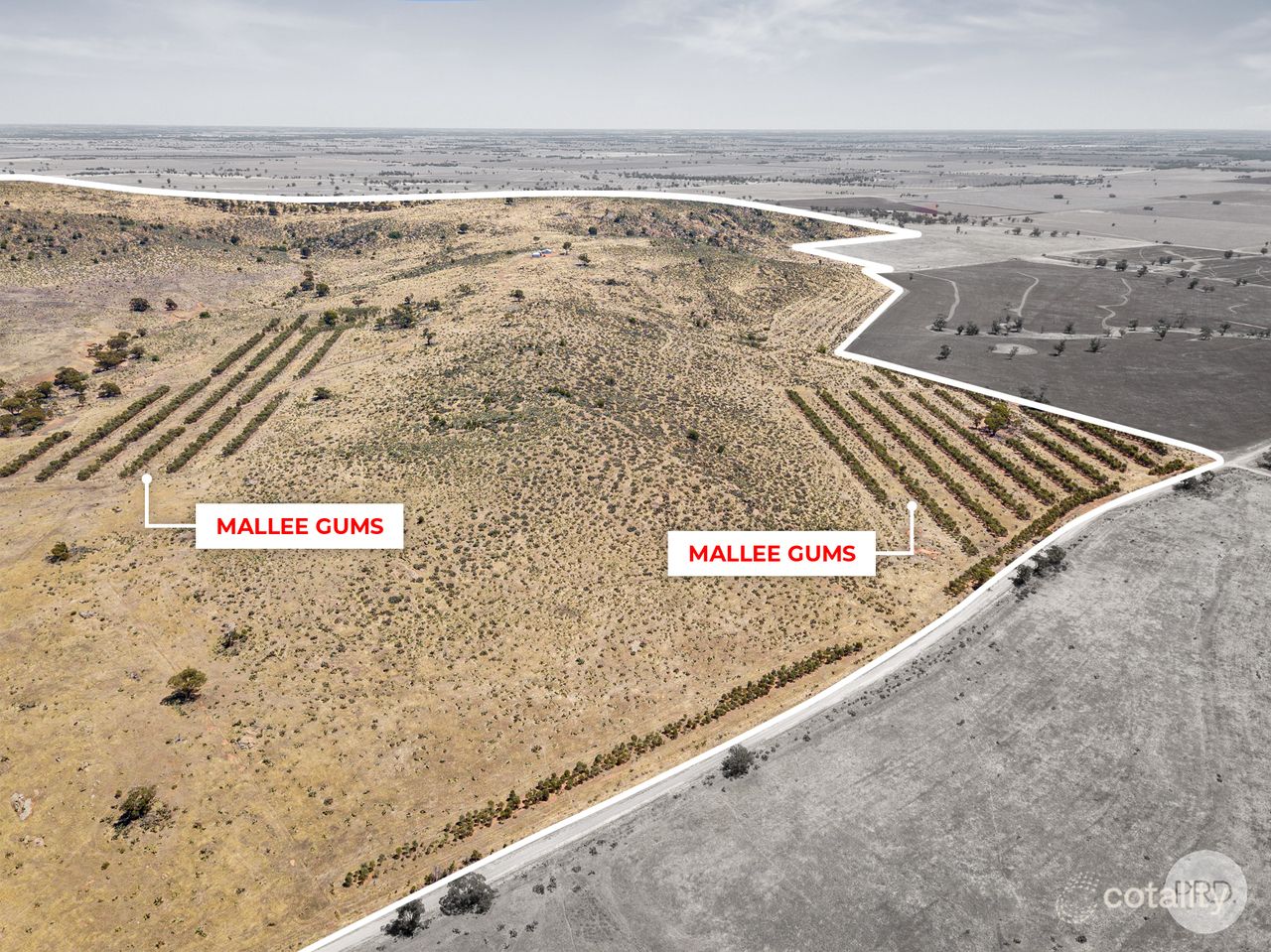 77 Wilsons Rd, Buckrabanyule, VIC 3525