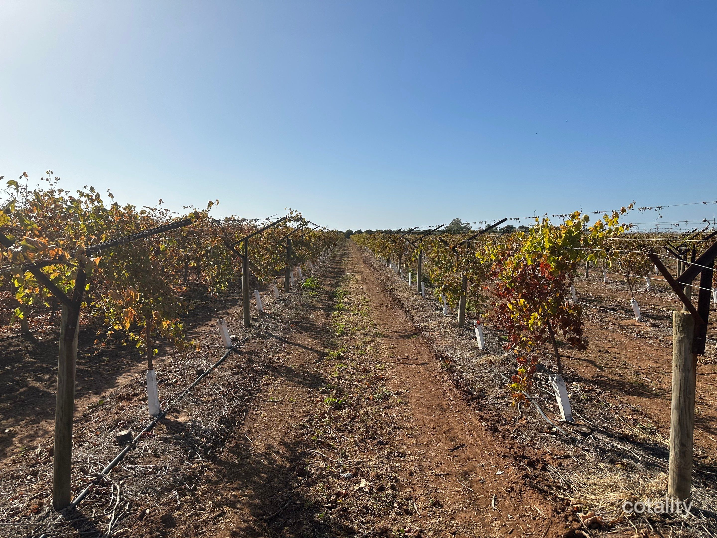 91 Savage Rd, Bilbul, NSW 2680