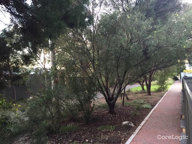 8/1 Cleland Ave, Unley, SA 5061