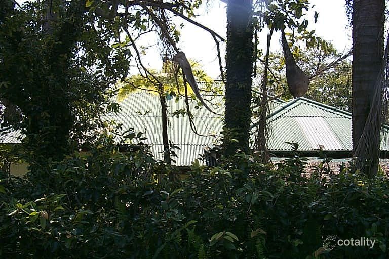 318 Richmond Rd, Cannon Hill, QLD 4170