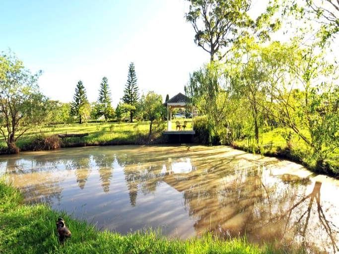 8 Walter Pde, Black Hill, NSW 2322