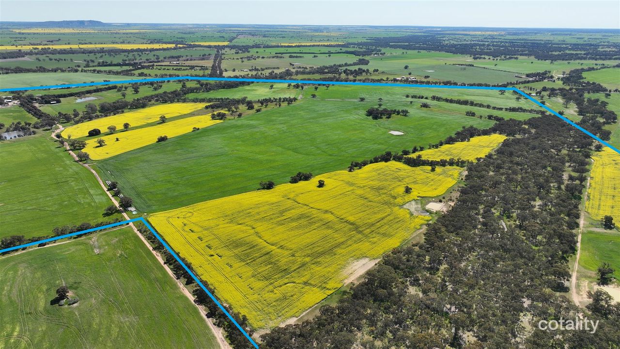 1077 Horsham-Noradjuha Rd, Lower Norton, VIC 3401