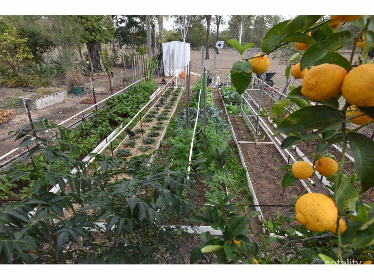 241 Old Toowoomba Rd, Placid Hills, QLD 4343