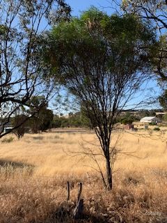 177 Narrogin Rd, Williams, WA 6391