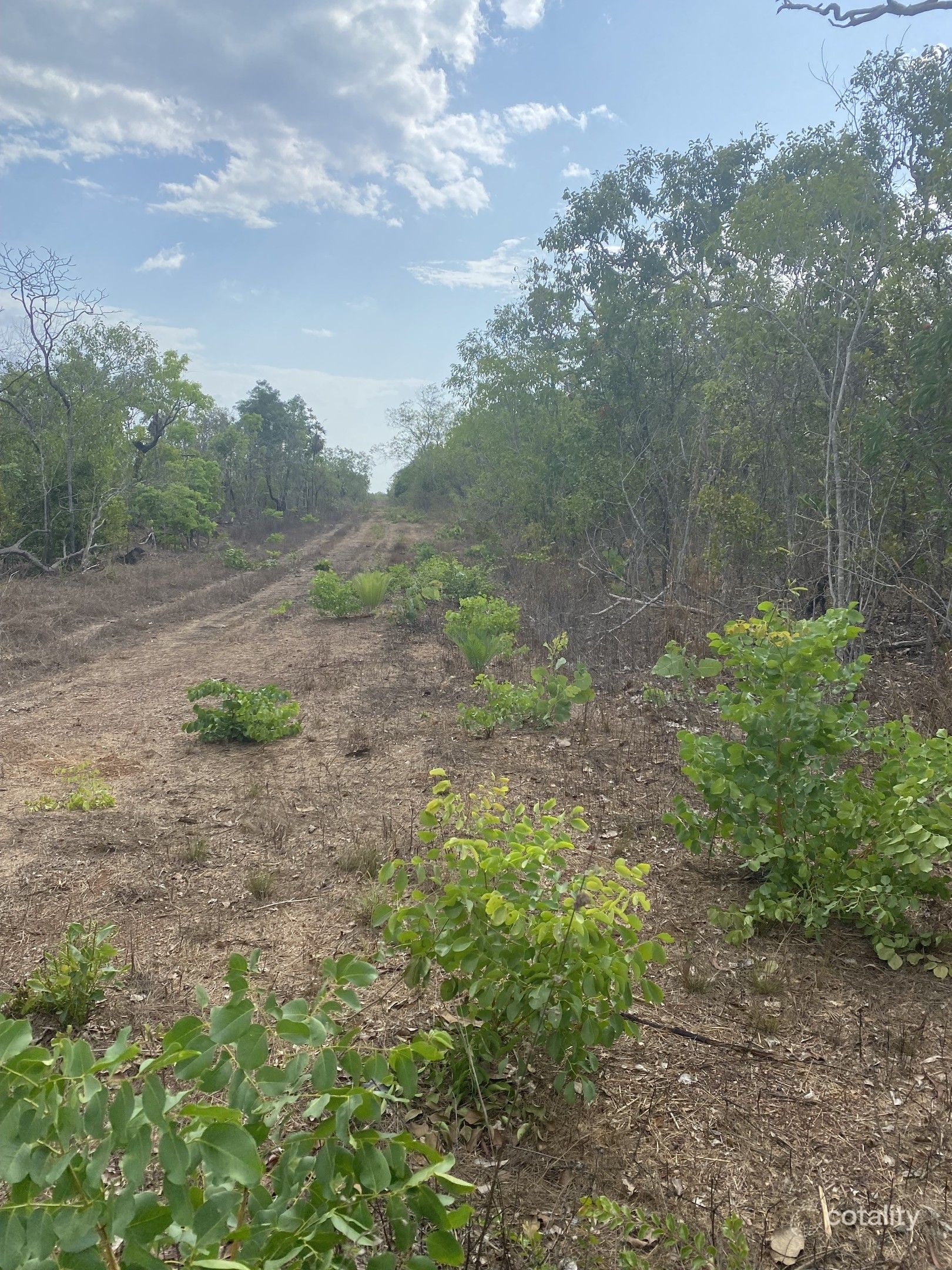 3975 Fog Bay Rd, Dundee Downs, NT 0840