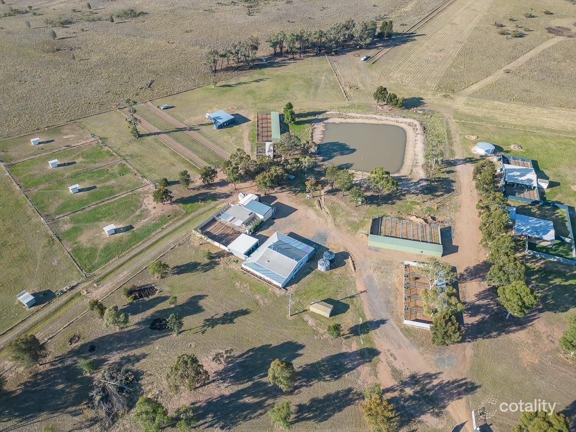 2493 Tantitha Rd, Tomingley, NSW 2869