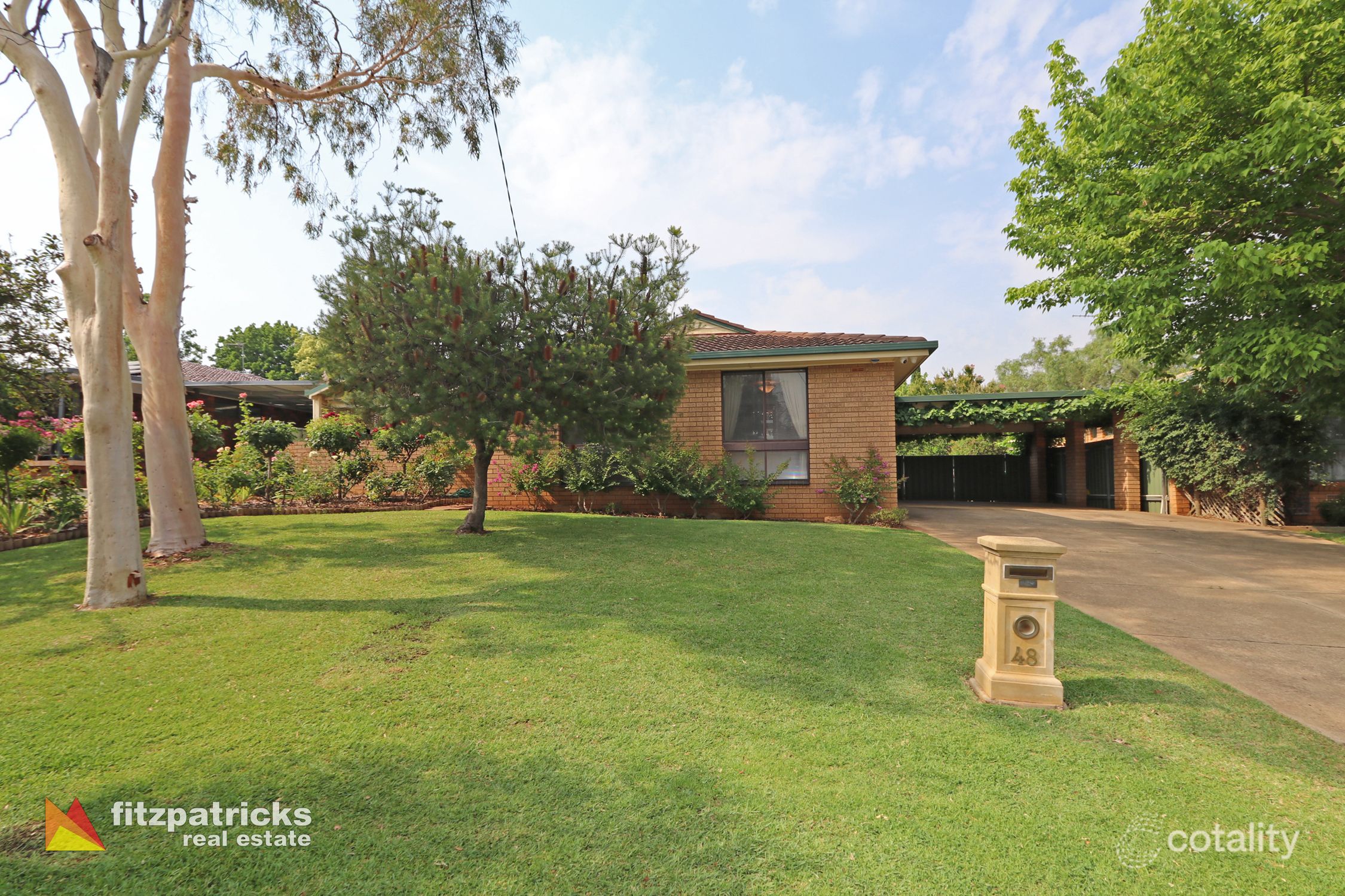 48 Alexander St, Ashmont, NSW 2650