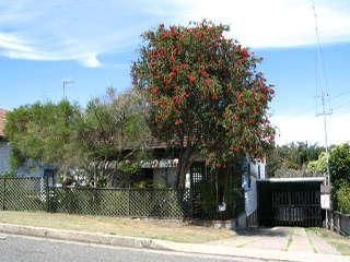 16 George St, Belmont, NSW 2280