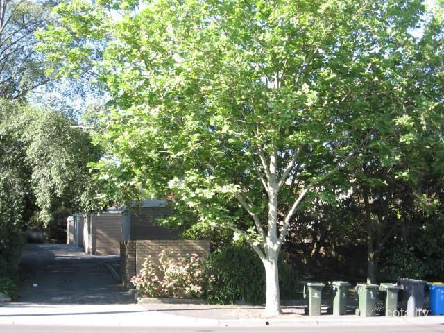 3/222 Canterbury Rd, Canterbury, VIC 3126