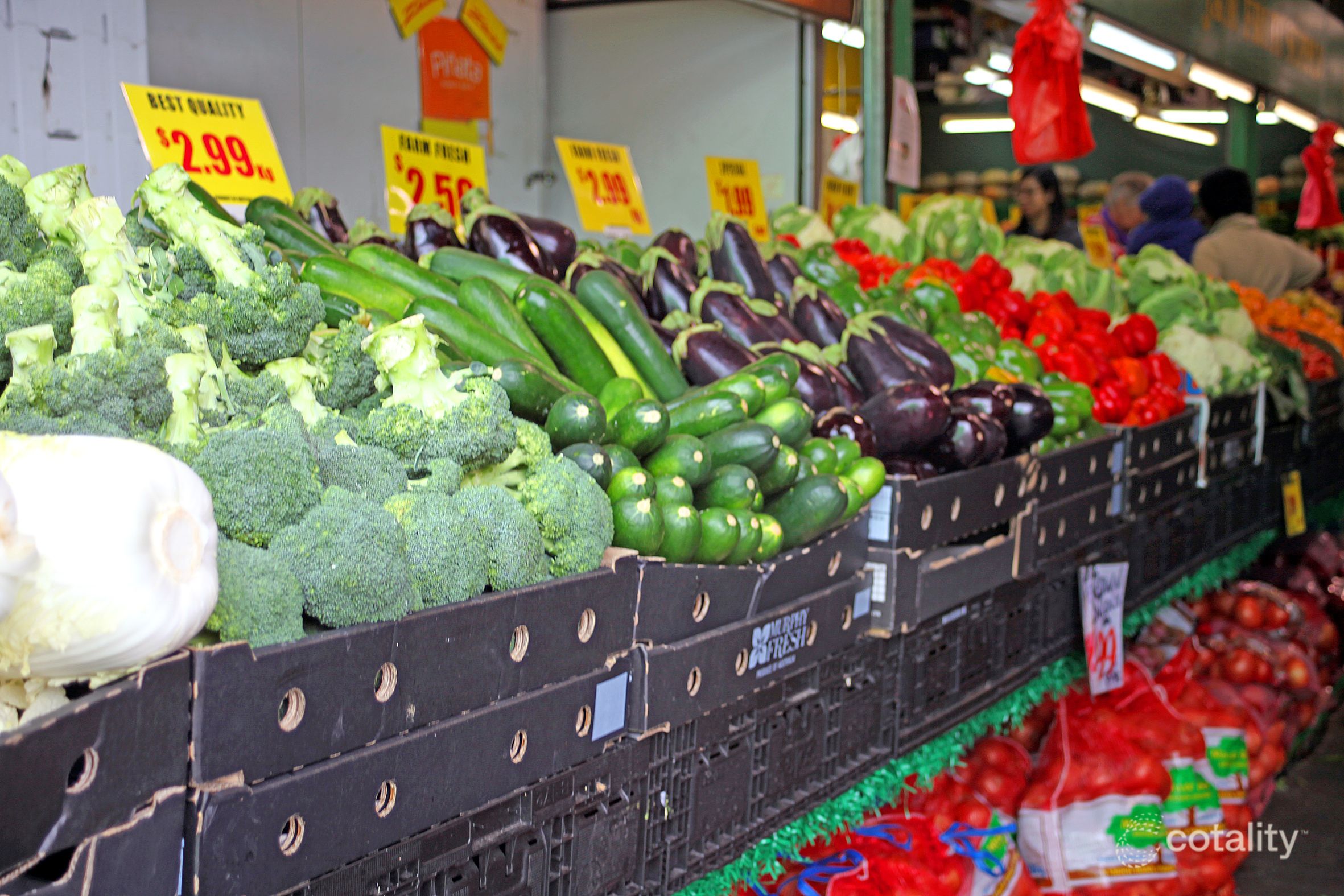 5/3 Mclennan Pl, Preston, VIC 3072