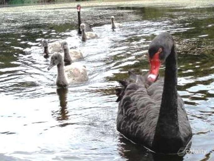 20/543 Gold Coast Hwy, Tugun, QLD 4224