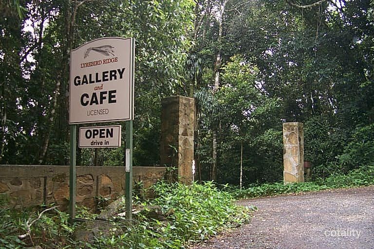 309 Lyrebird Ridge Rd, Springbrook, QLD 4213