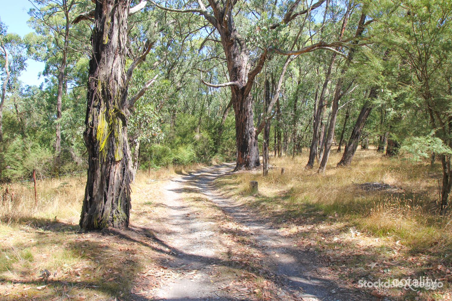 80 Buffalo North Rd, Buffalo, VIC 3958