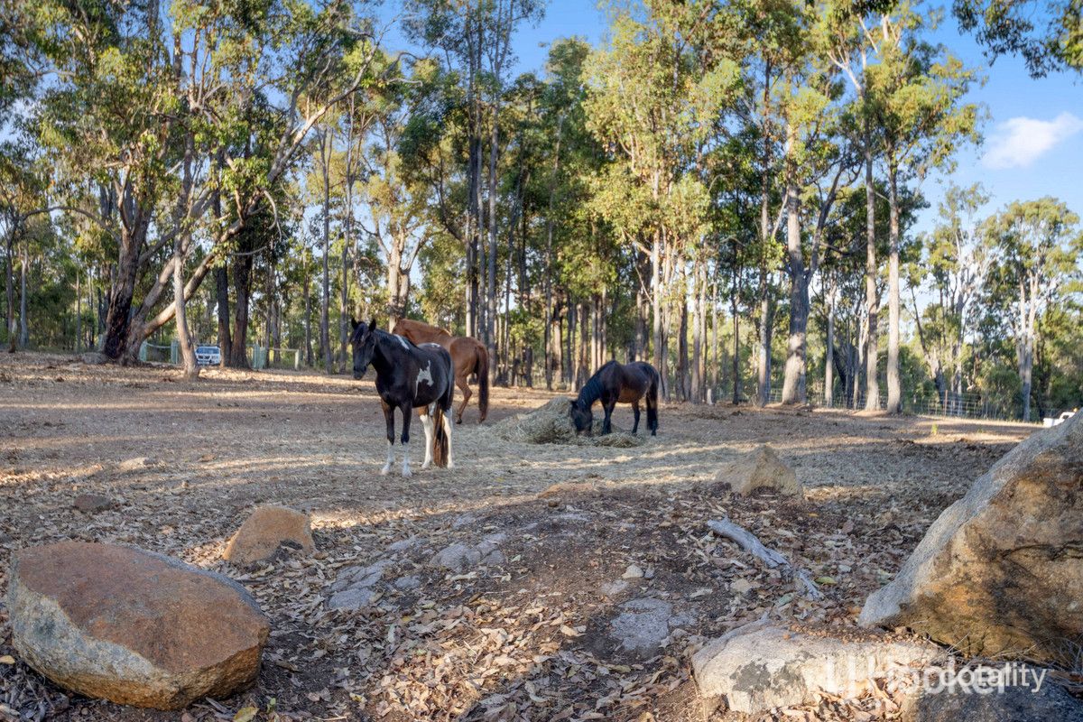 Lot 1433 Clifford St, Collie, WA 6225