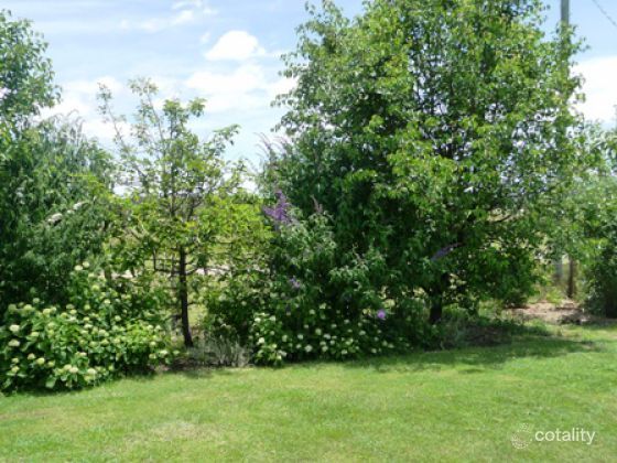 8 Tenterfield St, Deepwater, NSW 2371