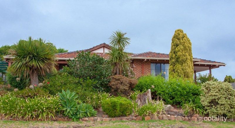 12 Ainslie Ct, Kardinya, WA 6163