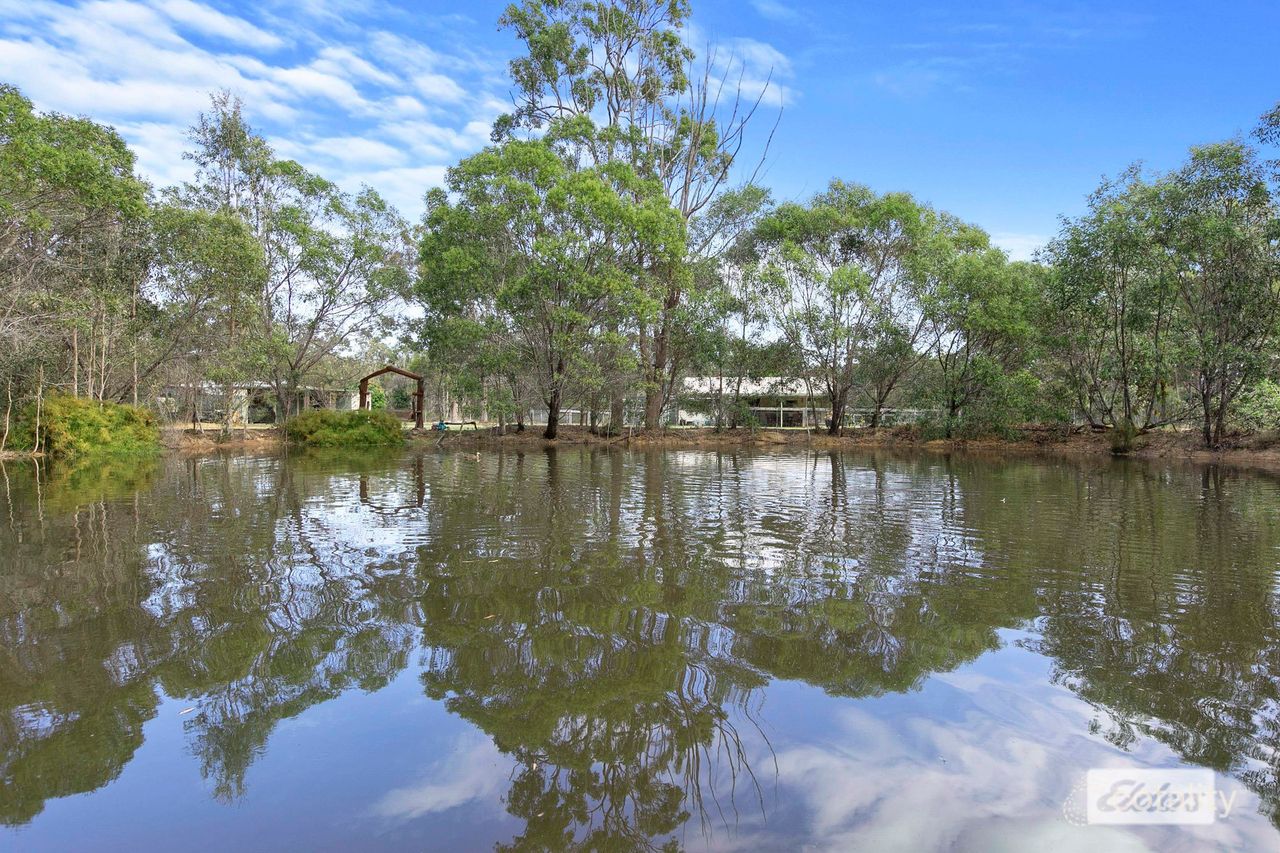 338 Pacific Haven Cct, Pacific Haven, QLD 4659