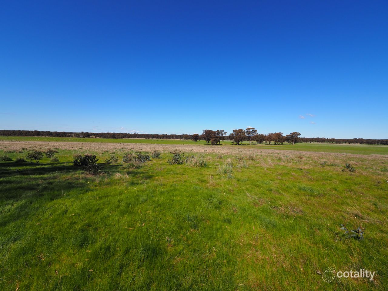 97 Walkers Rd, Alma, VIC 3465