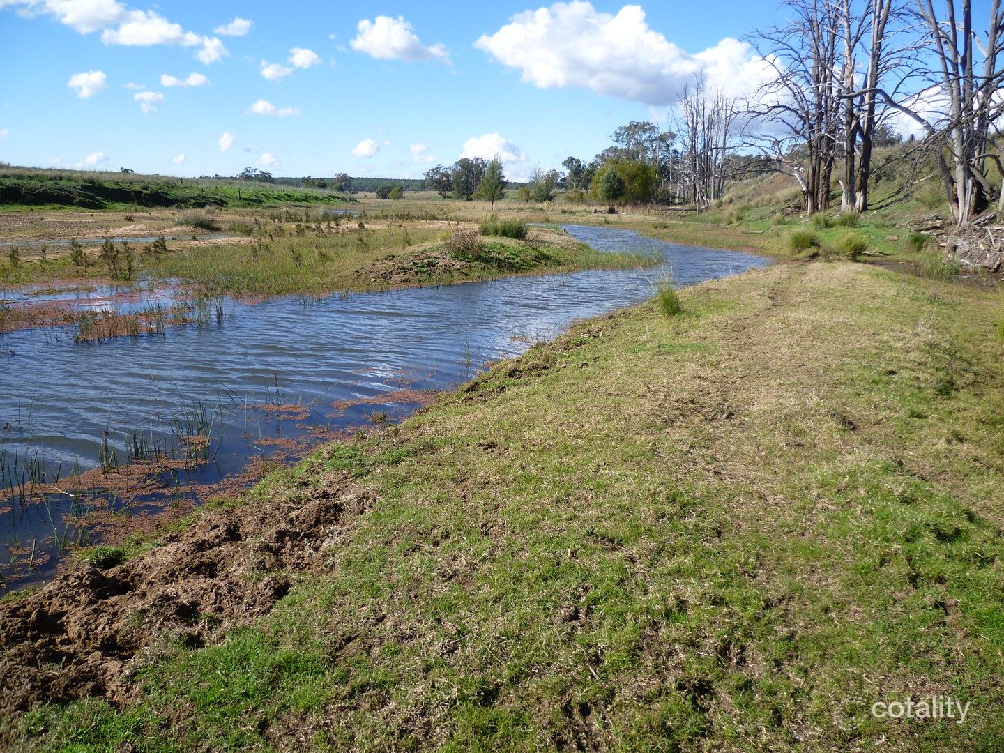 714 Piambra Rd, Binnaway, NSW 2395
