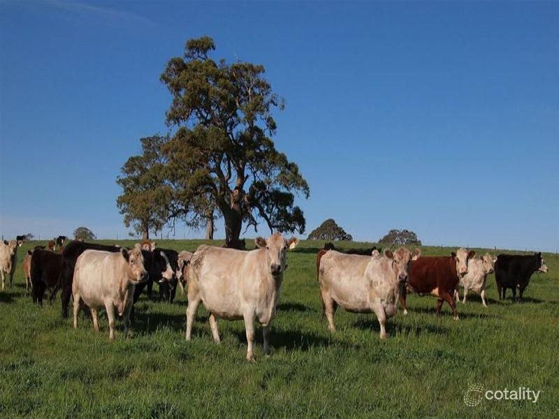 70 Scottsburn Rd, Woodside, SA 5244