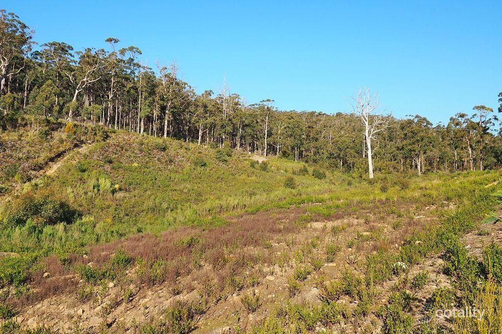 19 Forest Heights Dr, Tugrah, TAS 7310