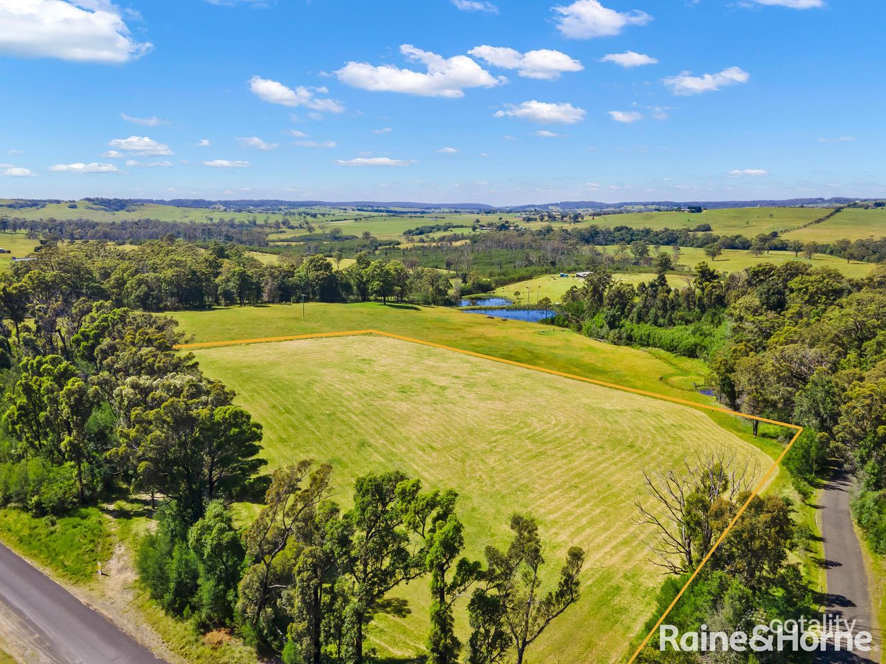 229 Little Forest Rd, Little Forest, NSW 2538