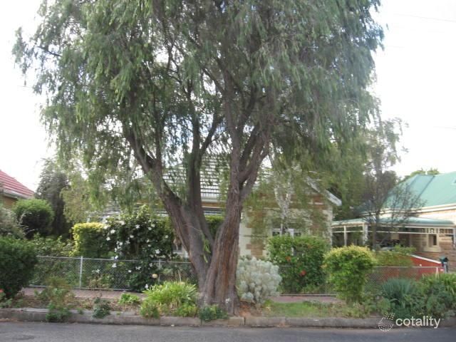 31 Swaine Ave, Rose Park, SA 5067