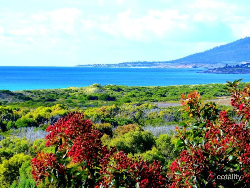 200 Scamander Ave, Scamander, TAS 7215