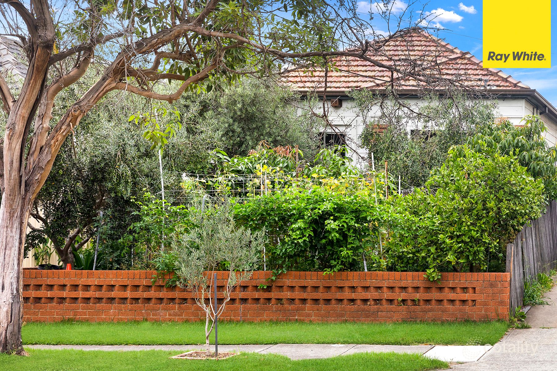 20 Wattle St, Punchbowl, NSW 2196
