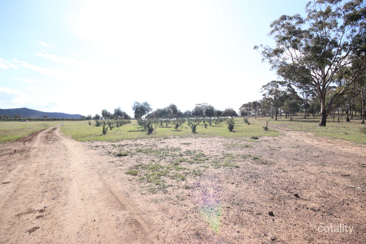 207 Redmanvale Rd, Jerrys Plains, NSW 2330