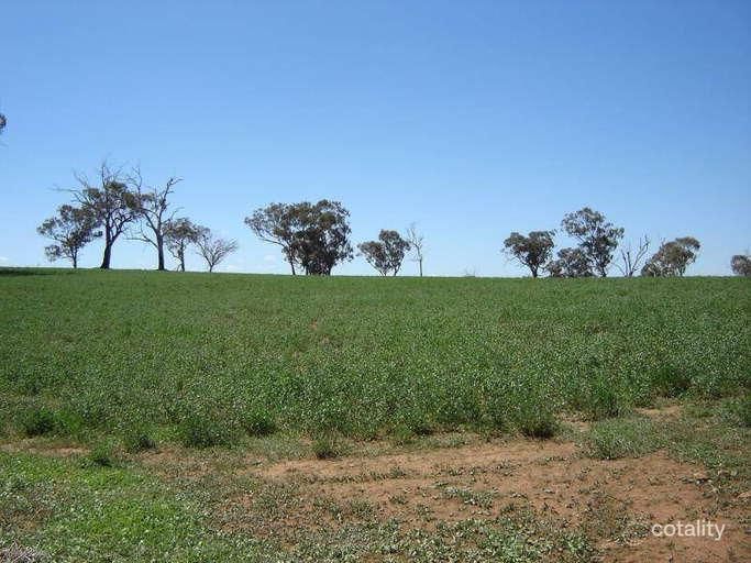 608 Peabody Rd, Molong, NSW 2866