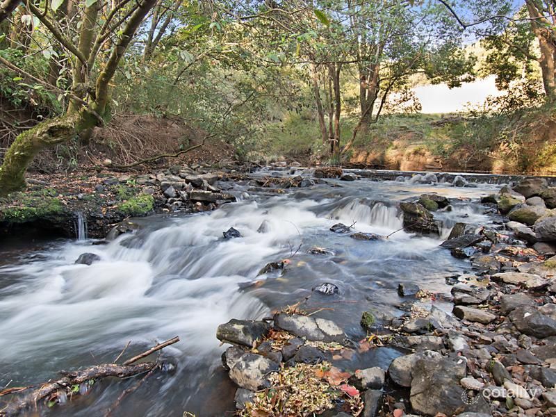 425 Friday Hut Rd, Possum Creek, NSW 2479