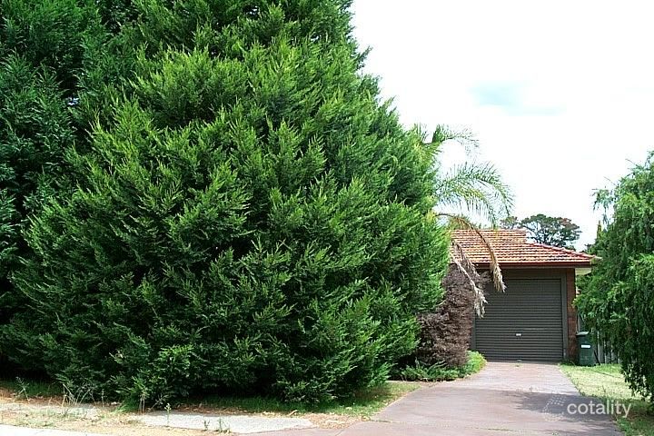 8 Alexander Cl, Lesmurdie, WA 6076