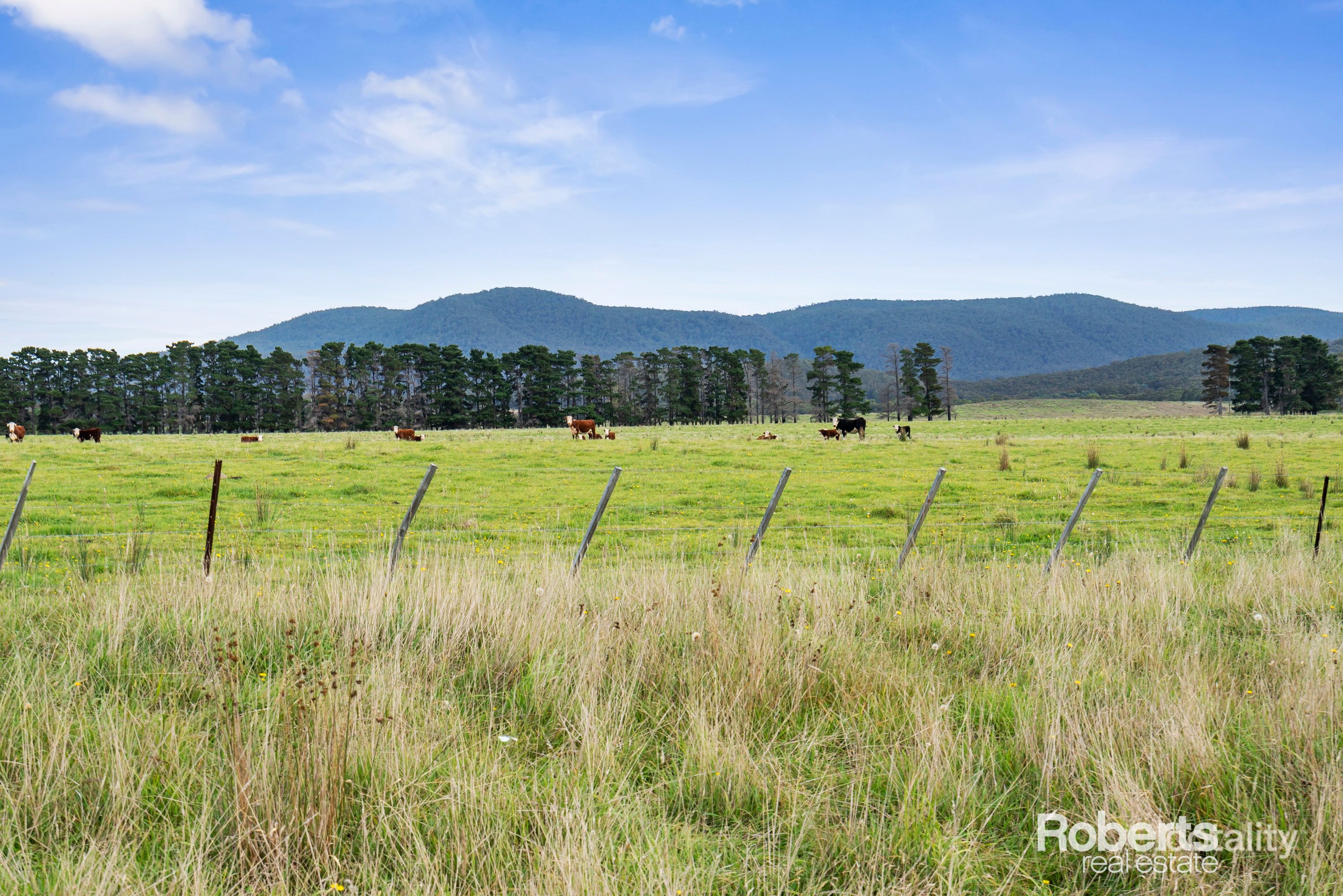 Tasman Hwy, Seymour, TAS 7215