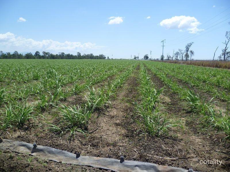 31277 Bruce Hwy, Barratta, QLD 4809